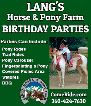 Langs Horse And Pony Farm Birthday Parties 2018